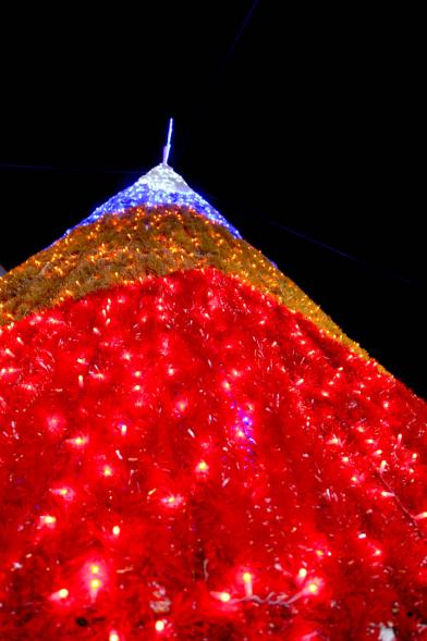 Encendido de Luces de Navidad 2019 - Primer plano del árbol de Navidad encendido.