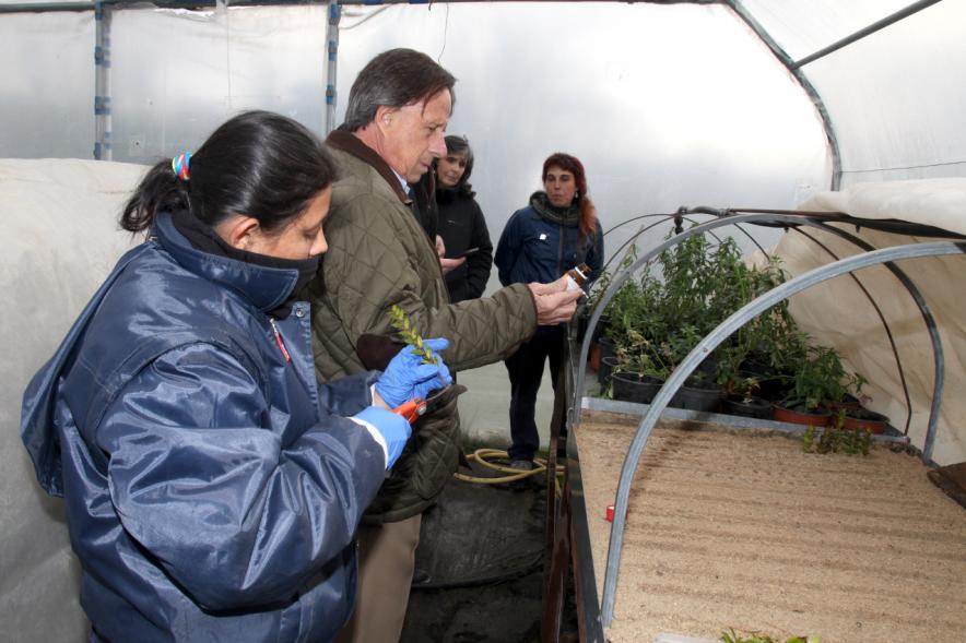 Encuentro con Trabajadores del Programa de Reactivación y Cualificación Profesional - Imagen del alcalde García de Vinuesa y  los participantes en la formación de jardinería.