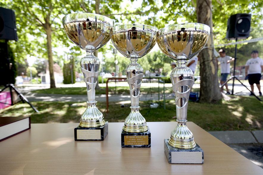 Entrega Premios XXIIº Concurso Escolar de Dibujo y Eslogan sobre Educaión y Seguridad Vial - Imagen de los trofeos que obtendrán los premiados.