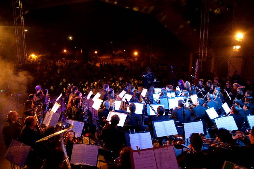 Miembros de la orquesta durante el concierto