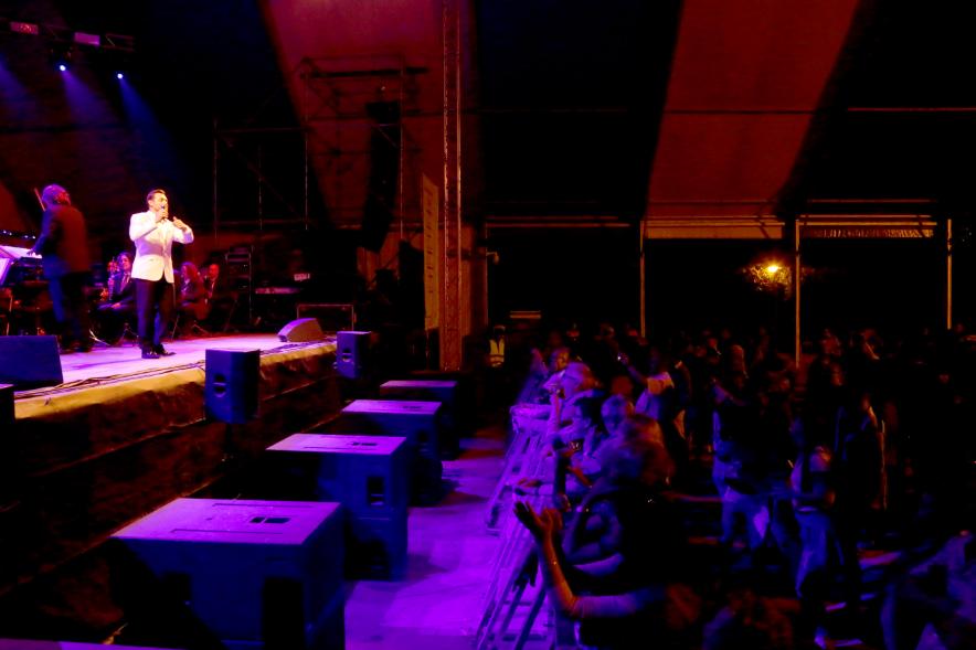 Cantante durante la actuación