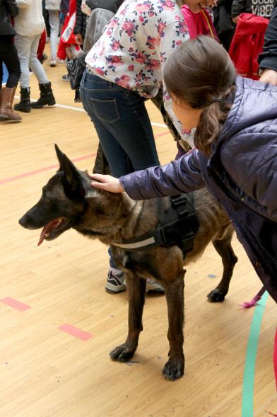 Iª Exhibición de la Unidad Canina de la Policía Local - Imagen de una niña junto un perro policía.