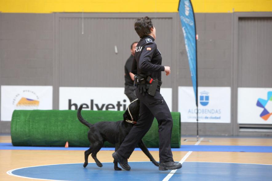 Iª Exhibición de la Unidad Canina de la Policía Local - Imagen de un policía junto a su perro en un momento de la exhibición.