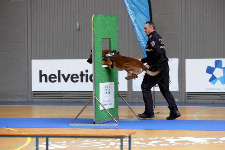 Iª Exhibición de la Unidad Canina de la Policía Local - Imagen de un policía junto a su perro en un momento de la exhibición.
