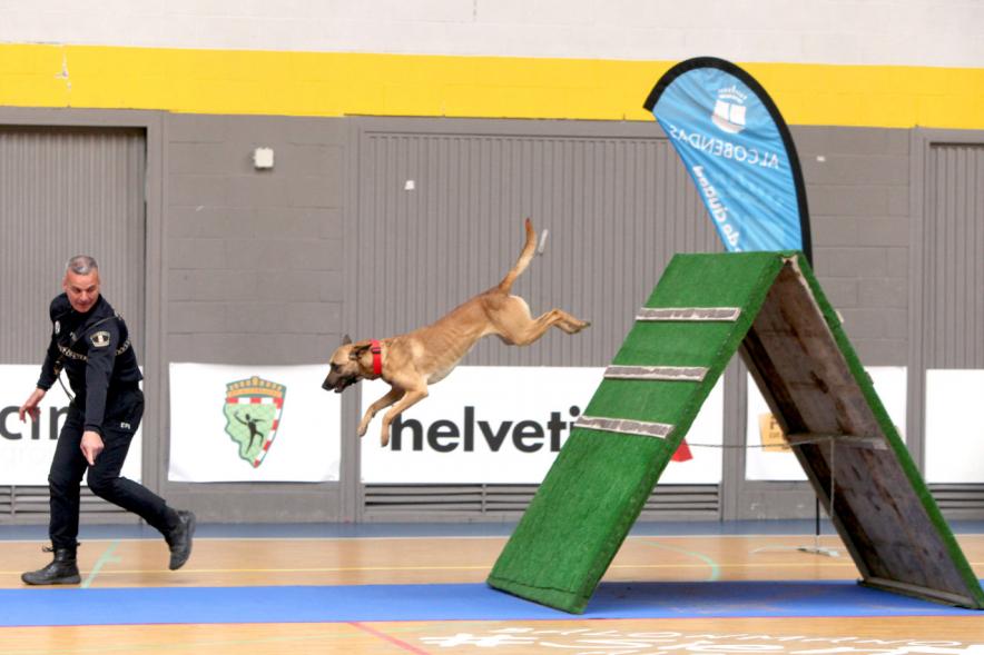 Iª Exhibición de la Unidad Canina de la Policía Local - Imagen de un policía junto a su perro en un momento de la exhibición.
