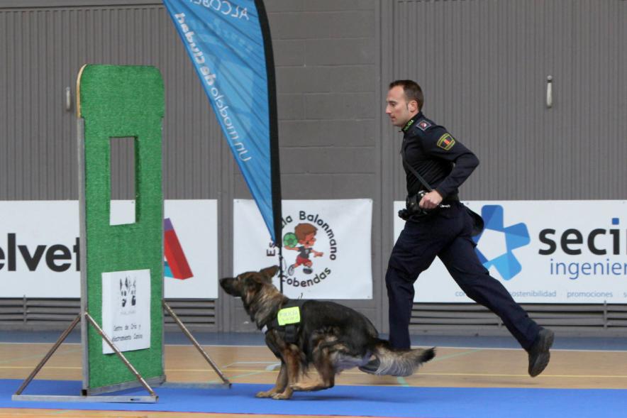 Iª Exhibición de la Unidad Canina de la Policía Local - Imagen de un policía junto a su perro en un momento de la exhibición.
