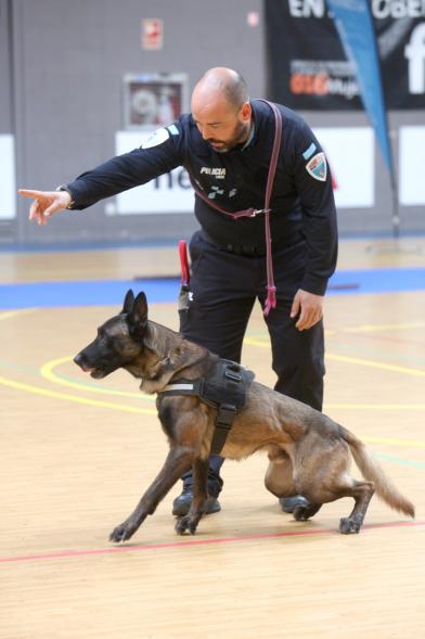 Iª Exhibición de la Unidad Canina de la Policía Local - Imagen de un policía junto a su perro en un momento de la exhibición.