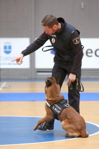 Iª Exhibición de la Unidad Canina de la Policía Local - Imagen de un policía junto a su perro en un momento de la exhibición.