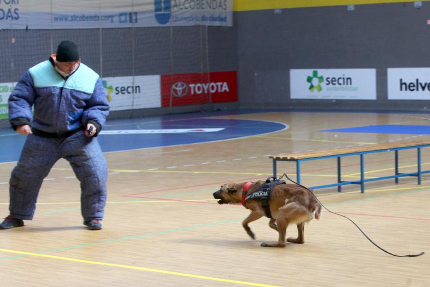 Iª Exhibición de la Unidad Canina de la Policía Local - Imagen de un policía junto a su perro en un momento de la exhibición.