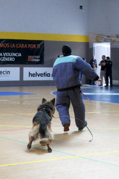 Iª Exhibición de la Unidad Canina de la Policía Local - Imagen de un policía junto a su perro en un momento de la exhibición.
