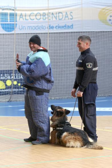 Iª Exhibición de la Unidad Canina de la Policía Local - Imagen de un momento de la exhibición.