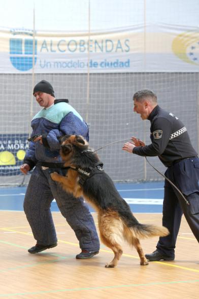 Iª Exhibición de la Unidad Canina de la Policía Local - Imagen de un momento de la exhibición.
