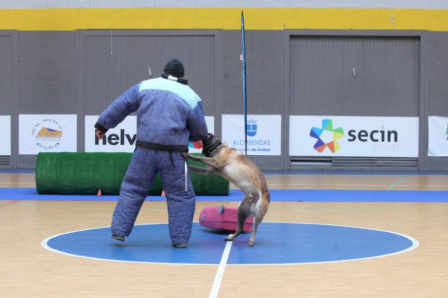 Iª Exhibición de la Unidad Canina de la Policía Local - Imagen de un momento de la exhibición.