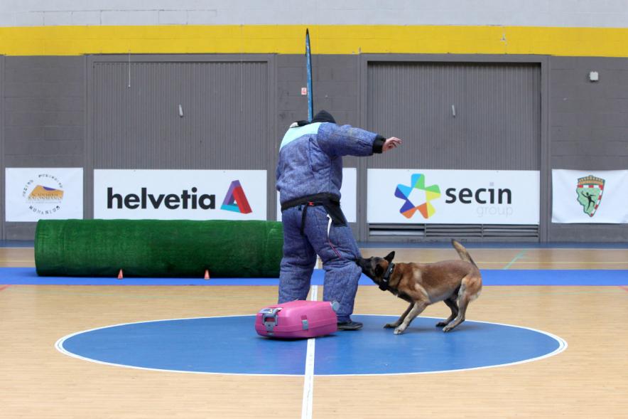 Iª Exhibición de la Unidad Canina de la Policía Local - Imagen de un momento de la exhibición.