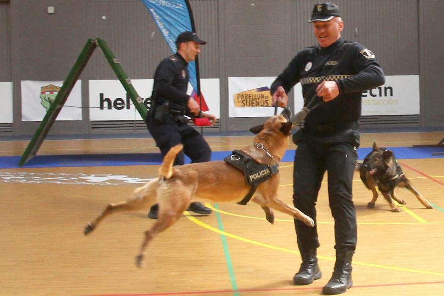 Iª Exhibición de la Unidad Canina de la Policía Local - Imagen de un policía junto a su perro en un momento de la exhibición.