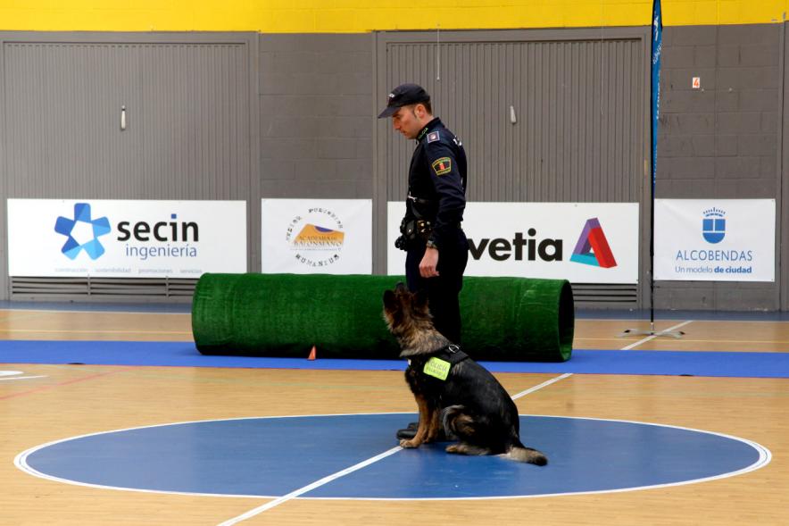Iª Exhibición de la Unidad Canina de la Policía Local - Imagen de un policía junto a su perro en un momento de la exhibición.