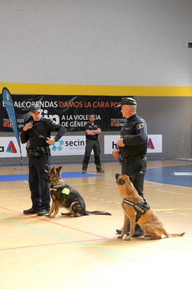Iª Exhibición de la Unidad Canina de la Policía Local - Imagen de un momento de la exhibición.