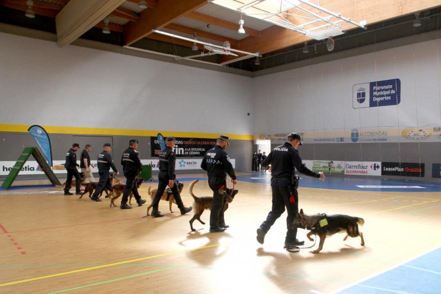 Iª Exhibición de la Unidad Canina de la Policía Local - Imagen de un momento de la exhibición.