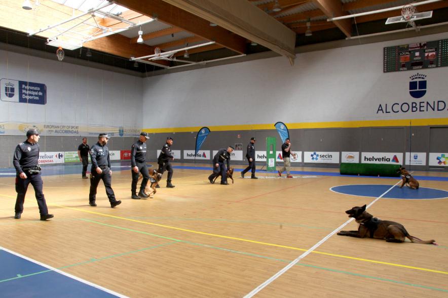 Iª Exhibición de la Unidad Canina de la Policía Local - Imagen de un momento de la exhibición.