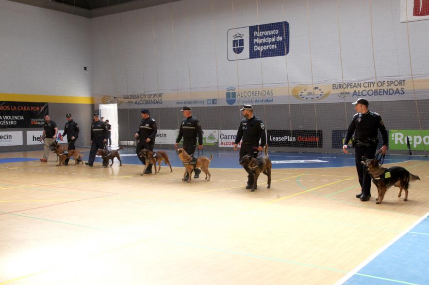 Iª Exhibición de la Unidad Canina de la Policía Local - Imagen de un momento de la exhibición.