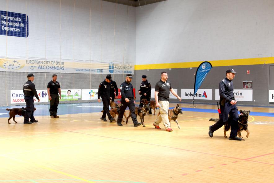 Iª Exhibición de la Unidad Canina de la Policía Local - Imagen de un momento de la exhibición.