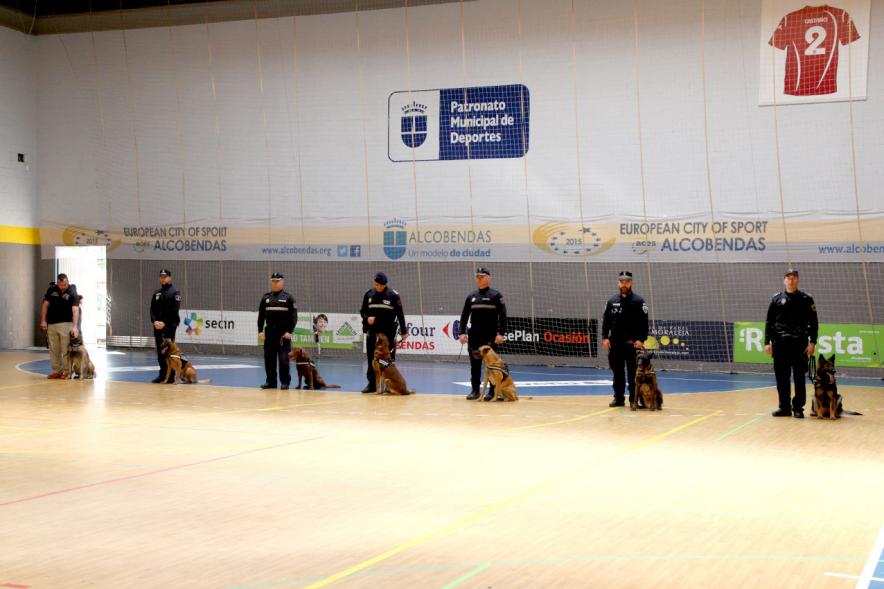 Iª Exhibición de la Unidad Canina de la Policía Local - Imagen de un momento de la exhibición.