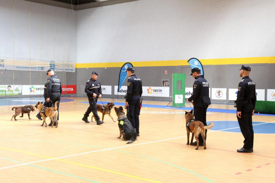 Iª Exhibición de la Unidad Canina de la Policía Local - Imagen de un momento de la exhibición.