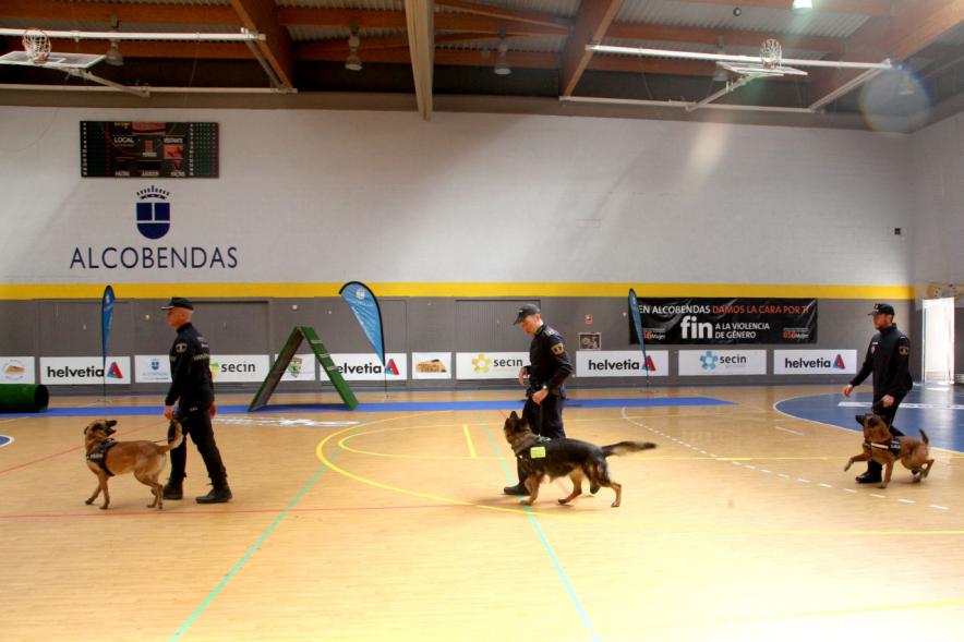 Iª Exhibición de la Unidad Canina de la Policía Local - Imagen de un momento de la exhibición.
