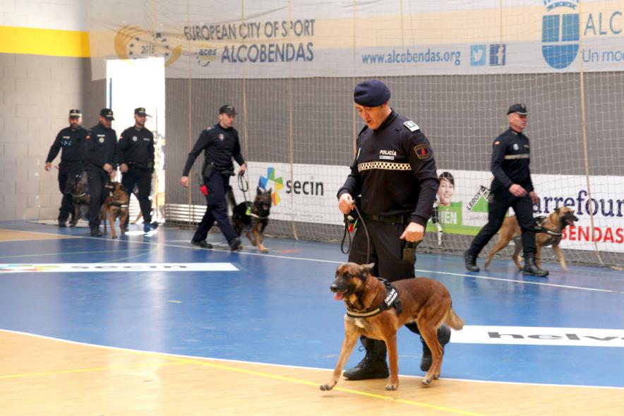 Iª Exhibición de la Unidad Canina de la Policía Local - Imagen de un policía junto a su perro en un momento de la exhibición.