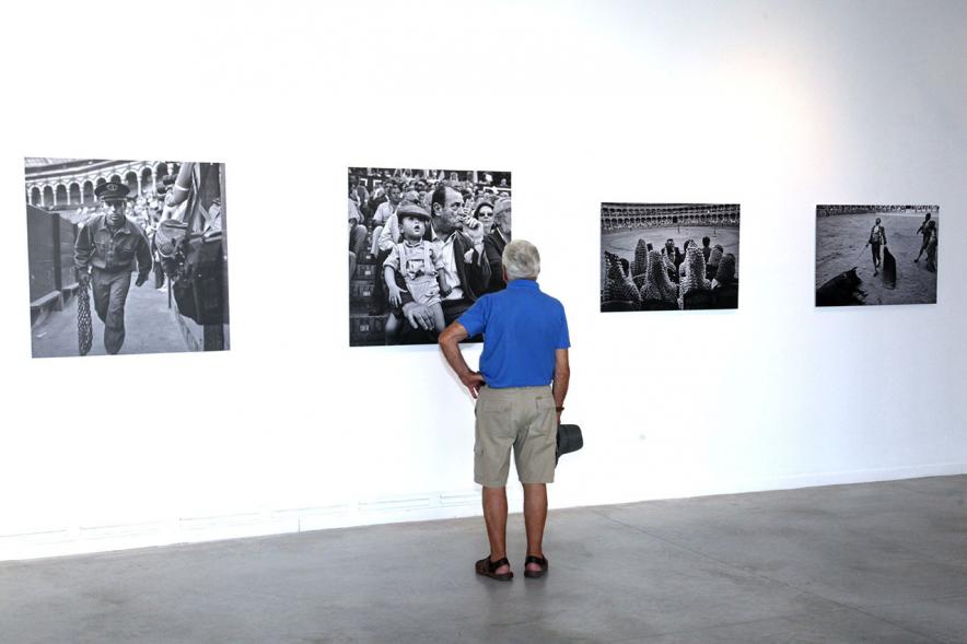 Visitante en la exposición.