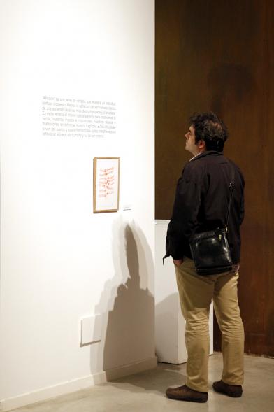 Inauguración Exposición "Aflicción" de Rosalía Banet - Imagen de una persona mirando  un cuadro de la exposición.