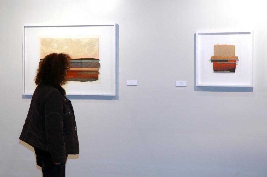 Visitante en la exposición. 