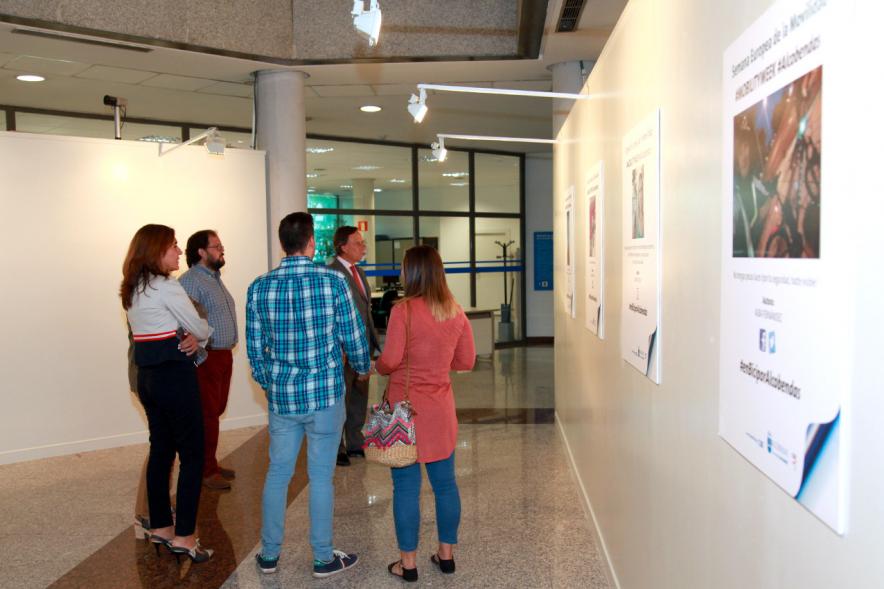 Inauguración y Entrega de Premios Hazte un Selfie en Bici -Las autoridades en la exposición.