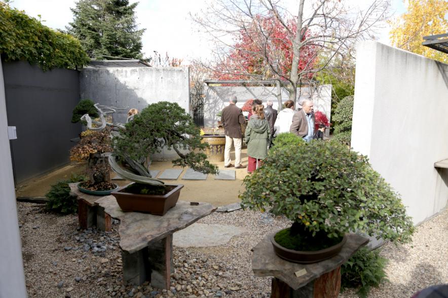 Asistentes. Inauguración Exposición Naturaleza y el Tiempo - 2018