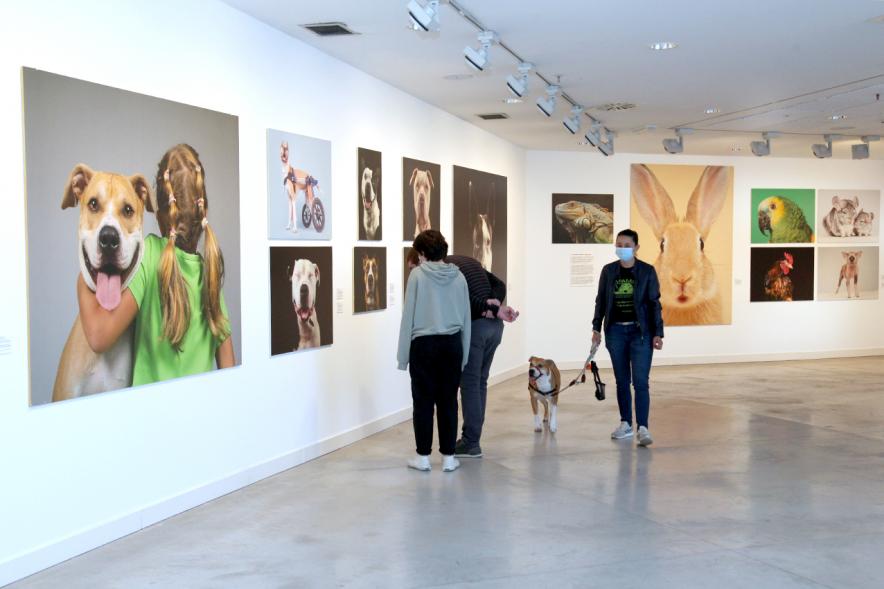 Participantes con sus mascotas. Inauguración Exposición "Invisibles" en el Centro de Arte - 2020