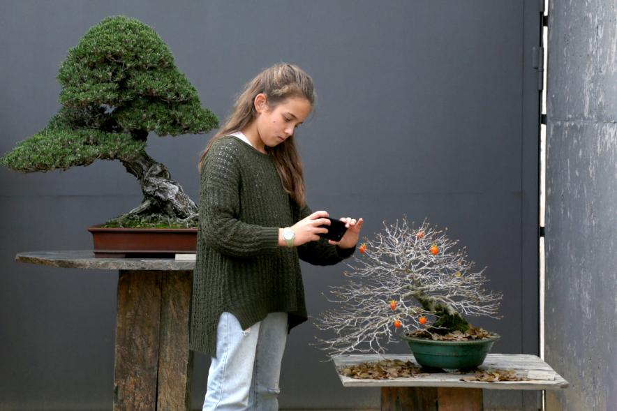 Asistente. Inauguración Exposición Naturaleza y el Tiempo – 2018