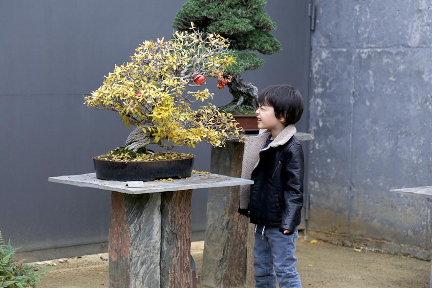 Asistente. Inauguración Exposición Naturaleza y el Tiempo – 2018