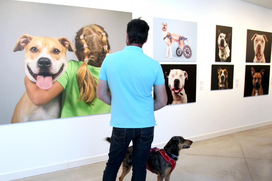 Asistentes con sus mascotas. Inauguración Exposición "Invisibles" en el Centro de Arte - 2020