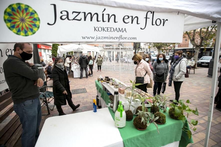 Stand de plantas. Mercado de Artesanía en la Plaza del Pueblo - 2020