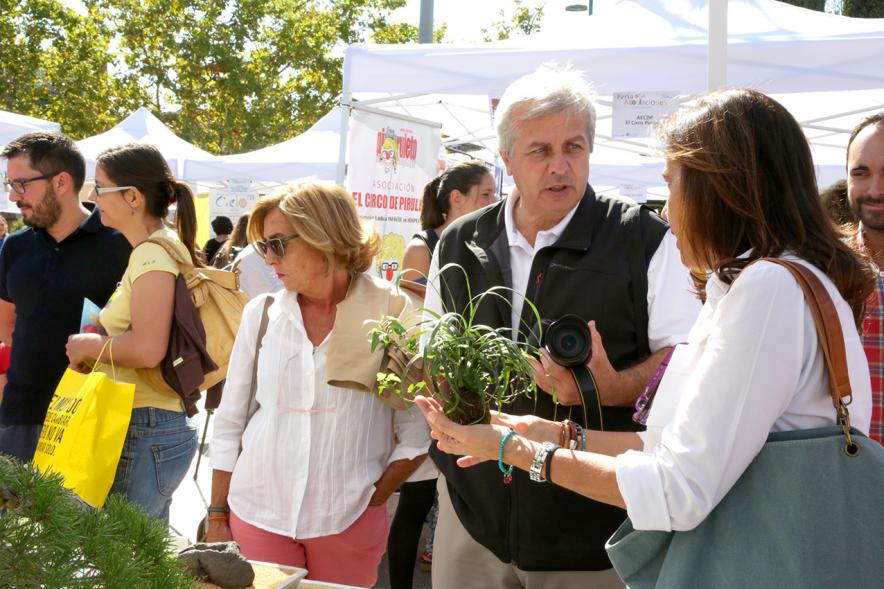 Feria de Las Asociaciones 2016 - Imagen del público asistente.