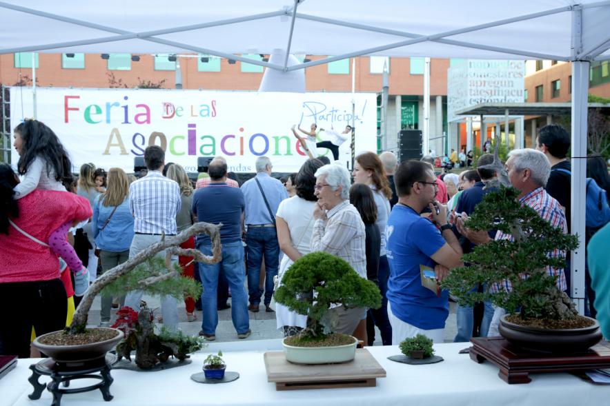 Feria de Las Asociaciones 2016 - Imagen del público asistente.