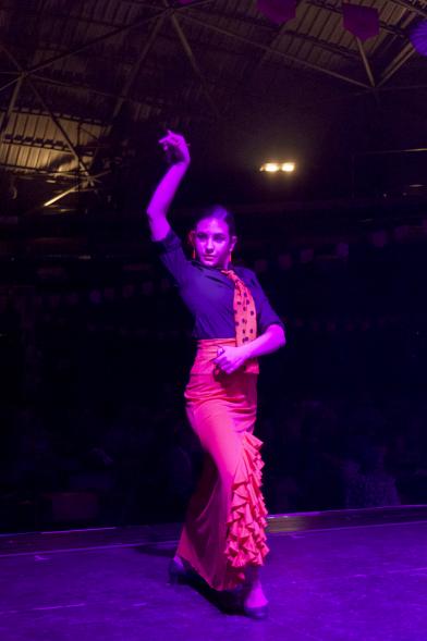 Feria de Abril de Alcobendas 2017 - Imagen de una persona bailando sevillanas en el escenario.