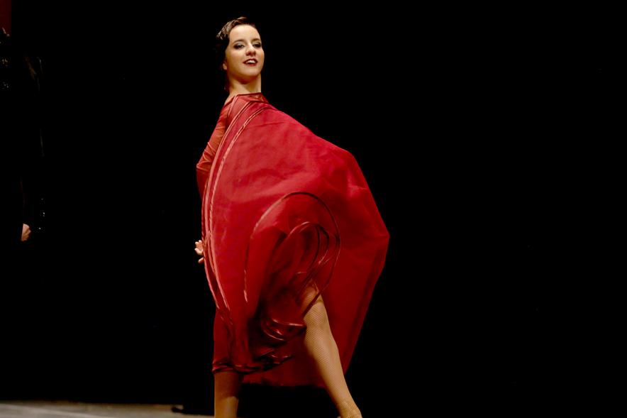 XIIº Festival Internacional de Danza y Artes Escénicas - Imagen de una bailarina en el escenario.