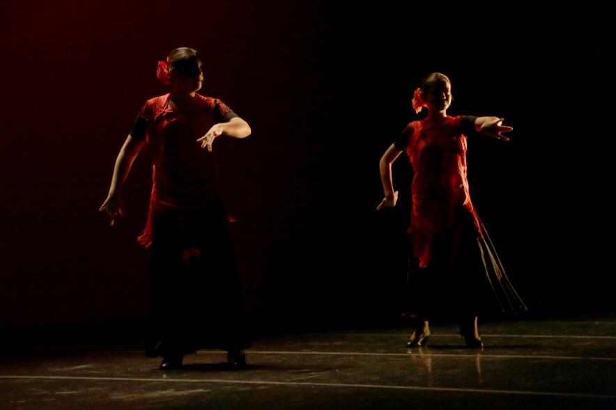Festival Benéfico APAMA - Imagen de un grupo de bailarinas en un momento de su actuación en el escenario.