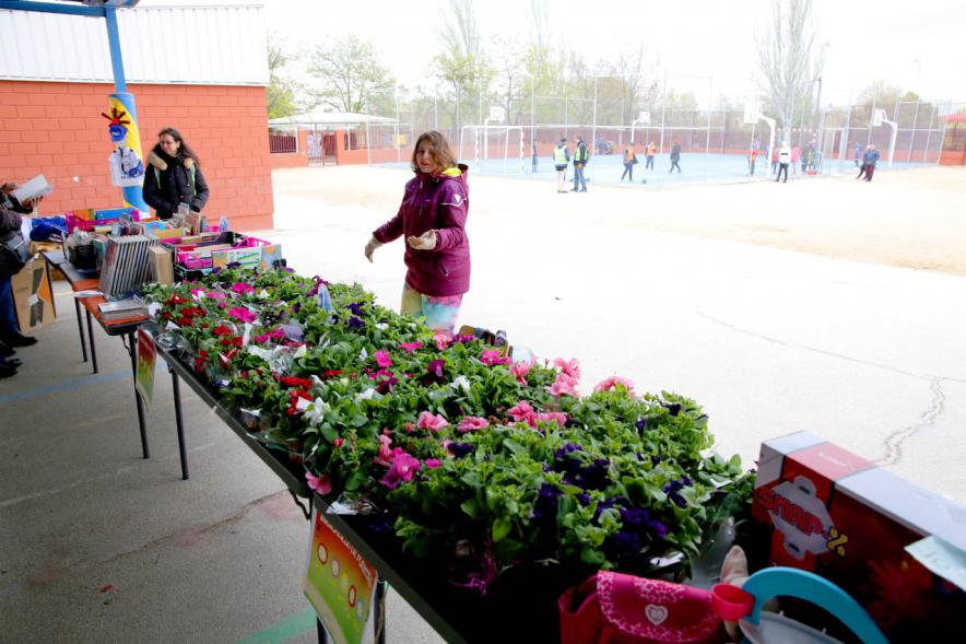 Puesto de plantas en el mercadillo