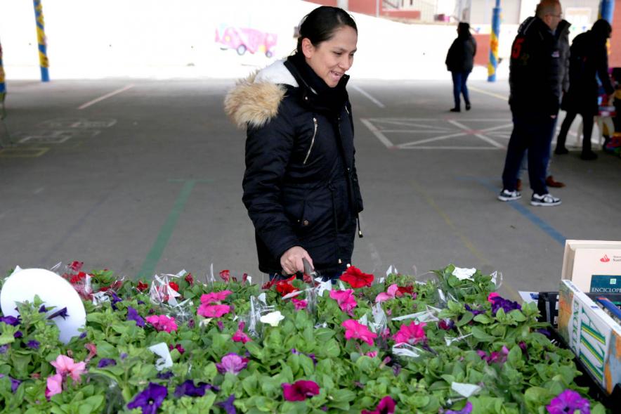Puesto de plantas