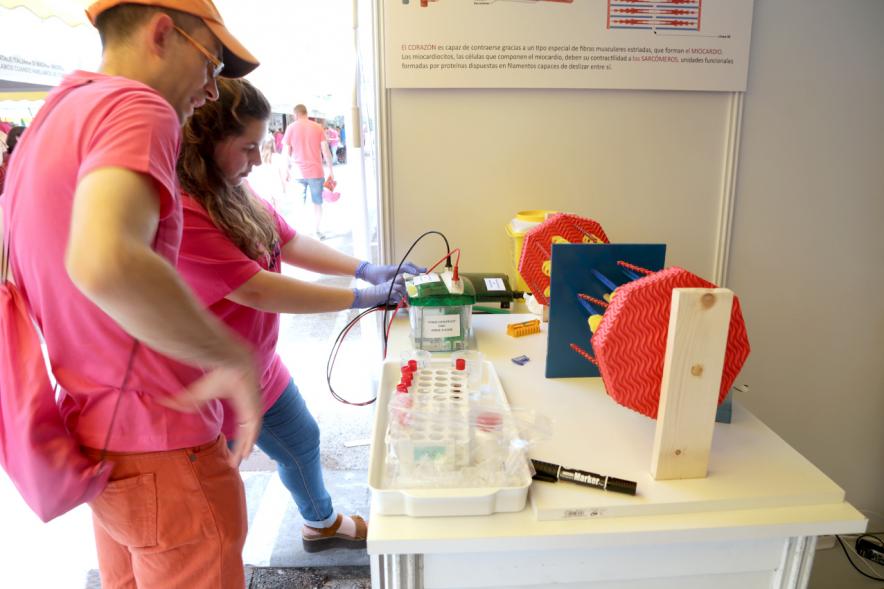 Finde Científico en el MUNCYT - Monitores junto a un experimento.