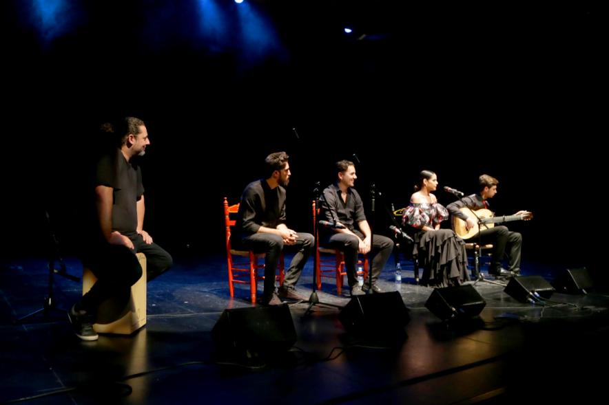 Gala Alcobendas Flamenca 2018 - Imagen de la actuación de todo el grupo flamenco en el escenario.