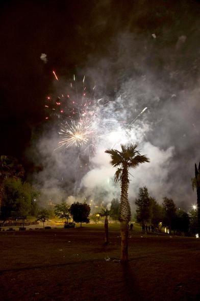 Palmera con Fuegos artificiales al fondo