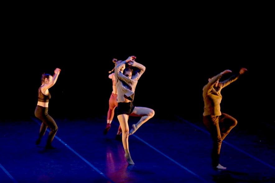 Gala VIIIº Certamen Día Mundial de la Danza ADAE - Grupo de bailarines clásicos. 